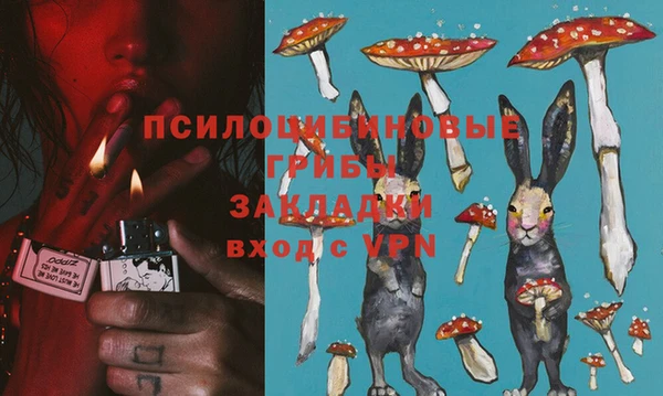 герыч Дмитровск