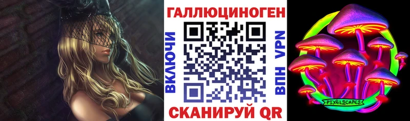 Псилоцибиновые грибы Psilocybe  Лагань 